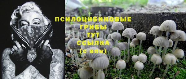 PSILOCYBIN Богородицк